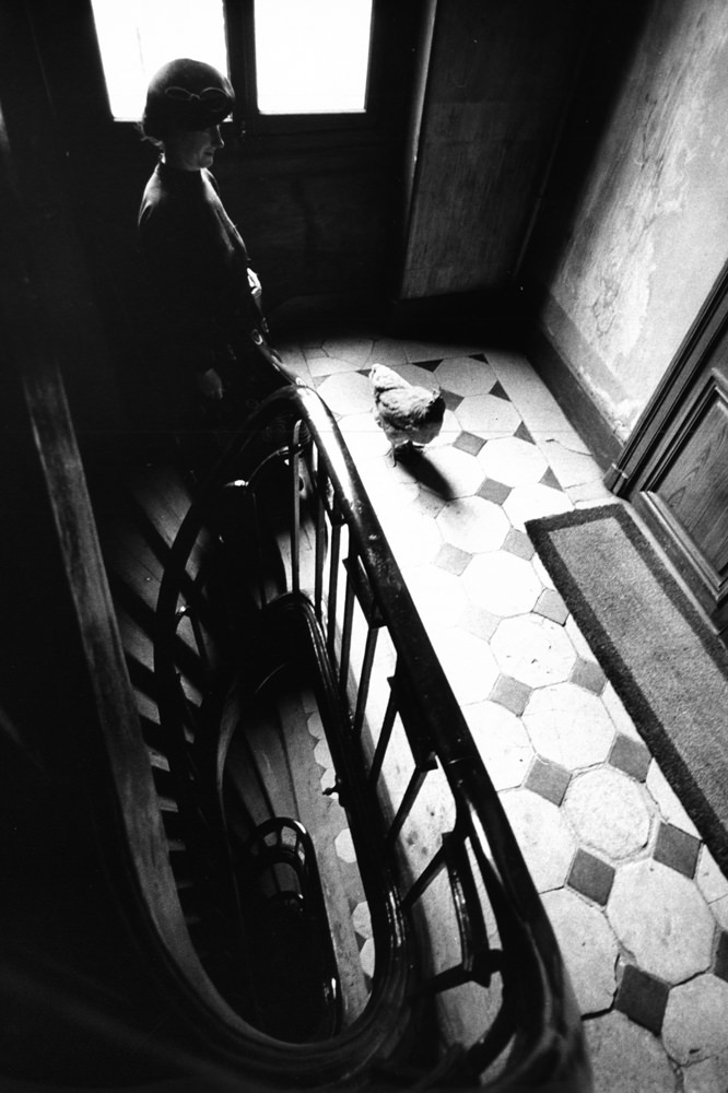 Just a Woman and Her Chicken: A Strange, Ordinary Day in 1956 Paris