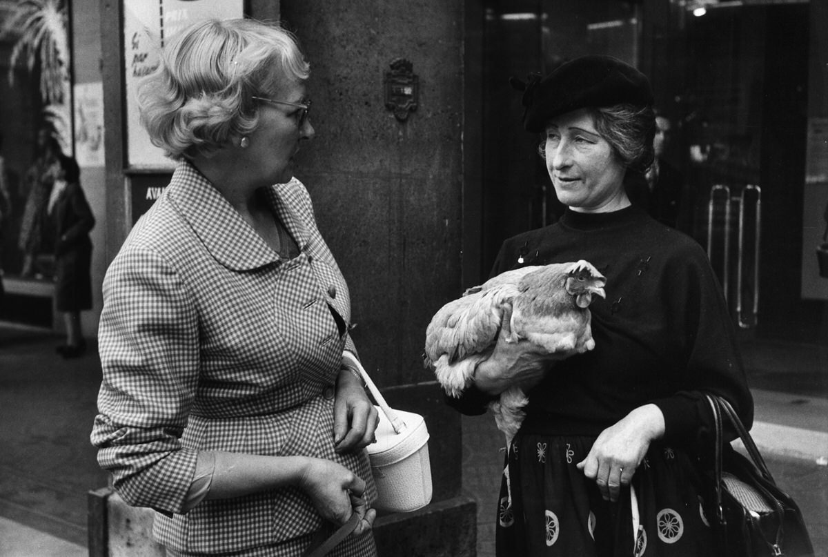 Just a Woman and Her Chicken: A Strange, Ordinary Day in 1956 Paris