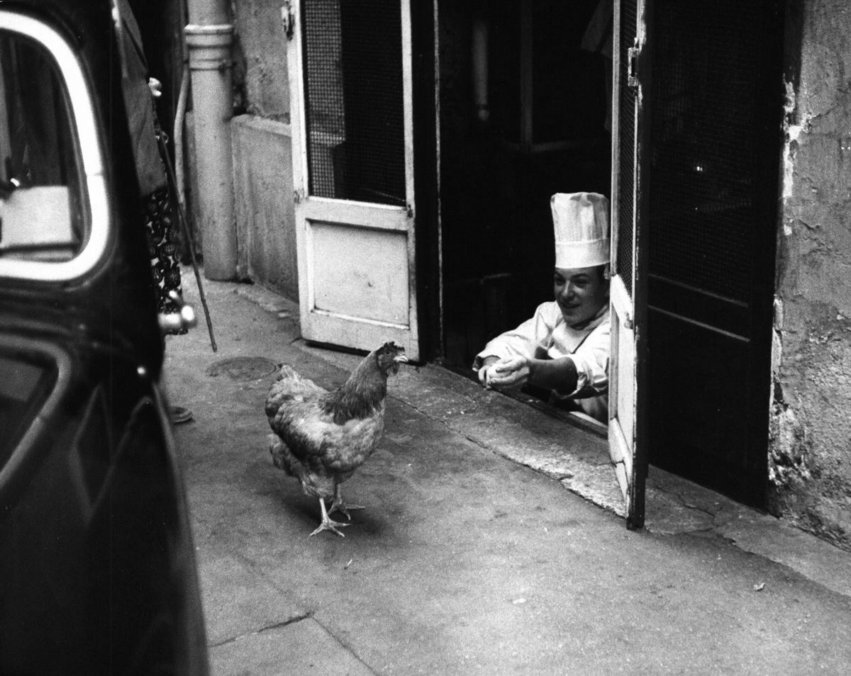 Just a Woman and Her Chicken: A Strange, Ordinary Day in 1956 Paris