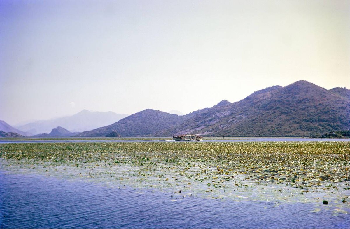 Boat trip on Lake Shkodra, between Albania and Montenegro, former Yugoslavia, 1970.