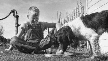 A boy with his dog 1945