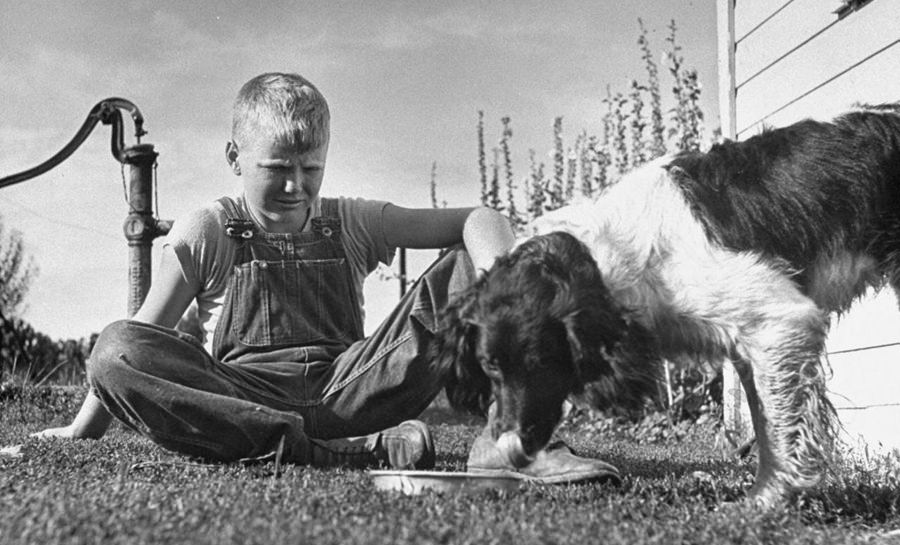 A boy with his dog 1945
