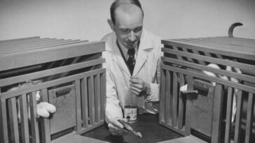 Cats Psychological test 1941