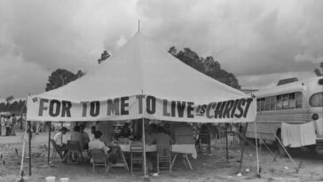 Palm Beach Pop Festival 1969