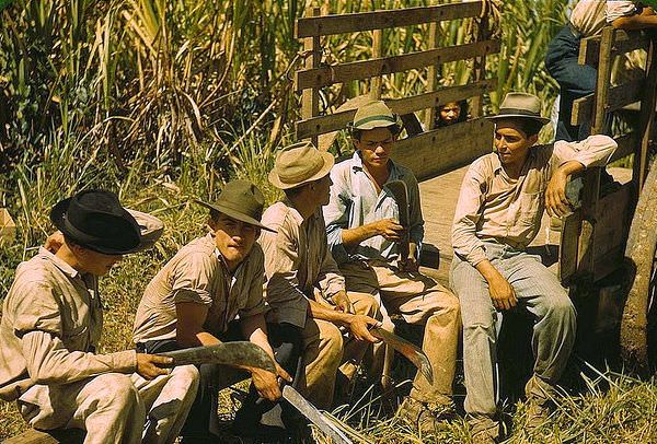 Sugar cane workers resting, Rio Piedras, Puerto Rico, 1941