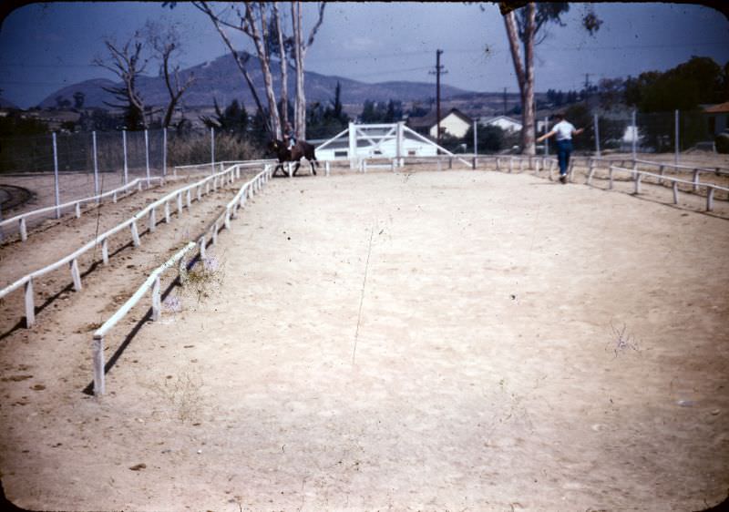 Pony rides off highway US 80 (now I-8) below the old William Templeton Johnson mansion, San Diego, California, 1947