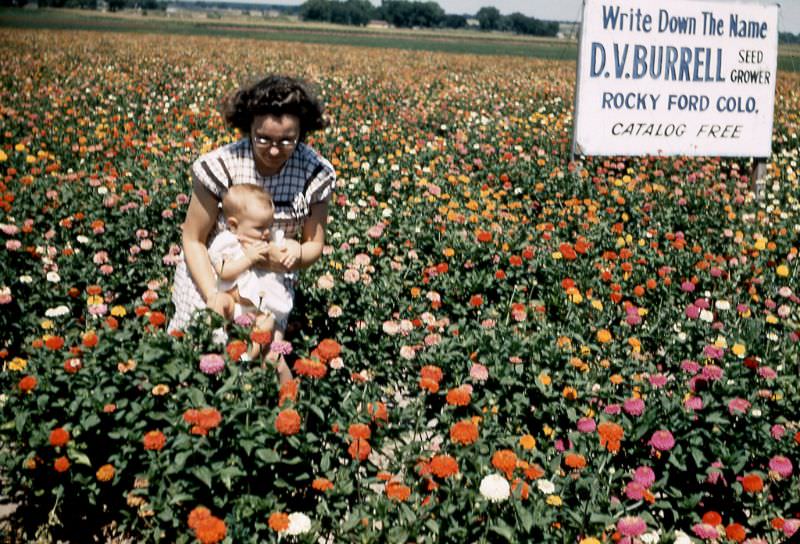 Mother and baby in a field of flowers, Colorado