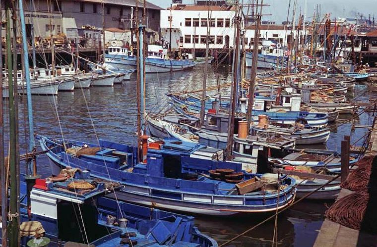 Fisherman's Wharf, San Francisco, California, 1940