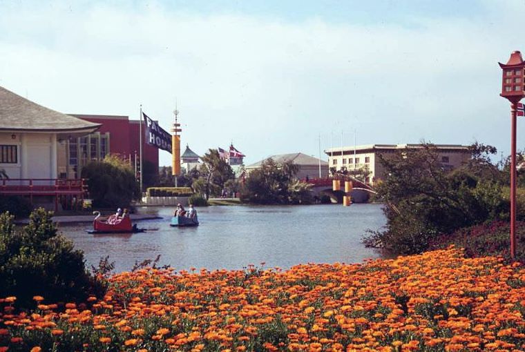 Lagoon and Orange, San Francisco Fair Flowers, California, 1940