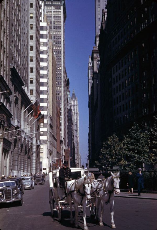 White horses draw white coach at Bowling Green on Broadway Street, New York City, 1942