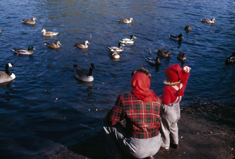 Mother and daughter feed ducks, Jackson Park Lagoon, Chicago, Illinois, 1946
