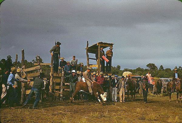 Rodeo at the Pie Town, New Mexico Fair, 1940