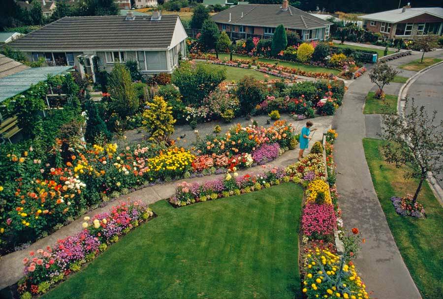 Private gardens in Christchurch, New Zealand, 1972