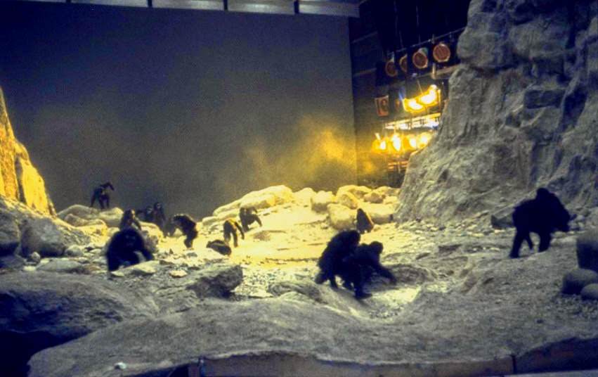 Apes in the Dawn of Man sequence, 2001: A Space Odyssey, 1968