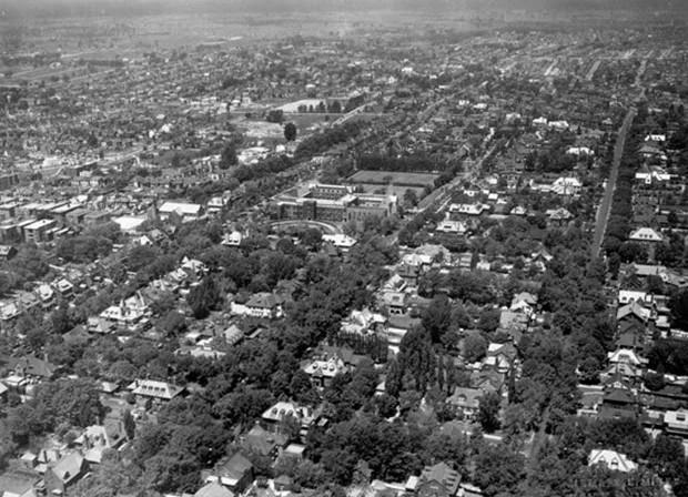 Above Forest Hill 1935