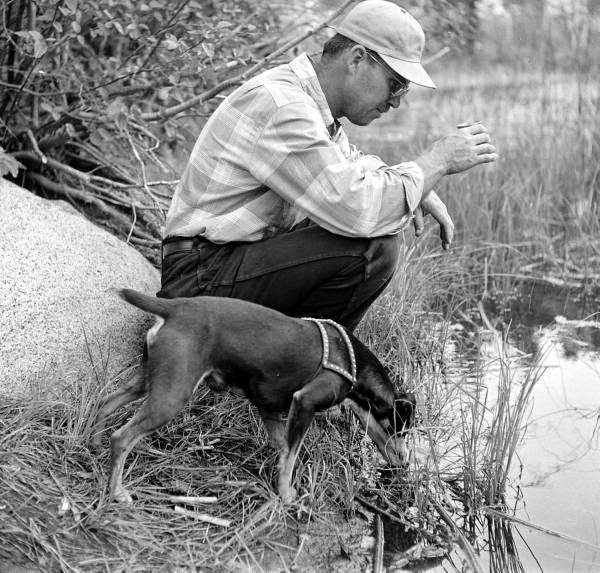 Vintage Photos of American Campers From the 1940s Exploring the Great Outdoors