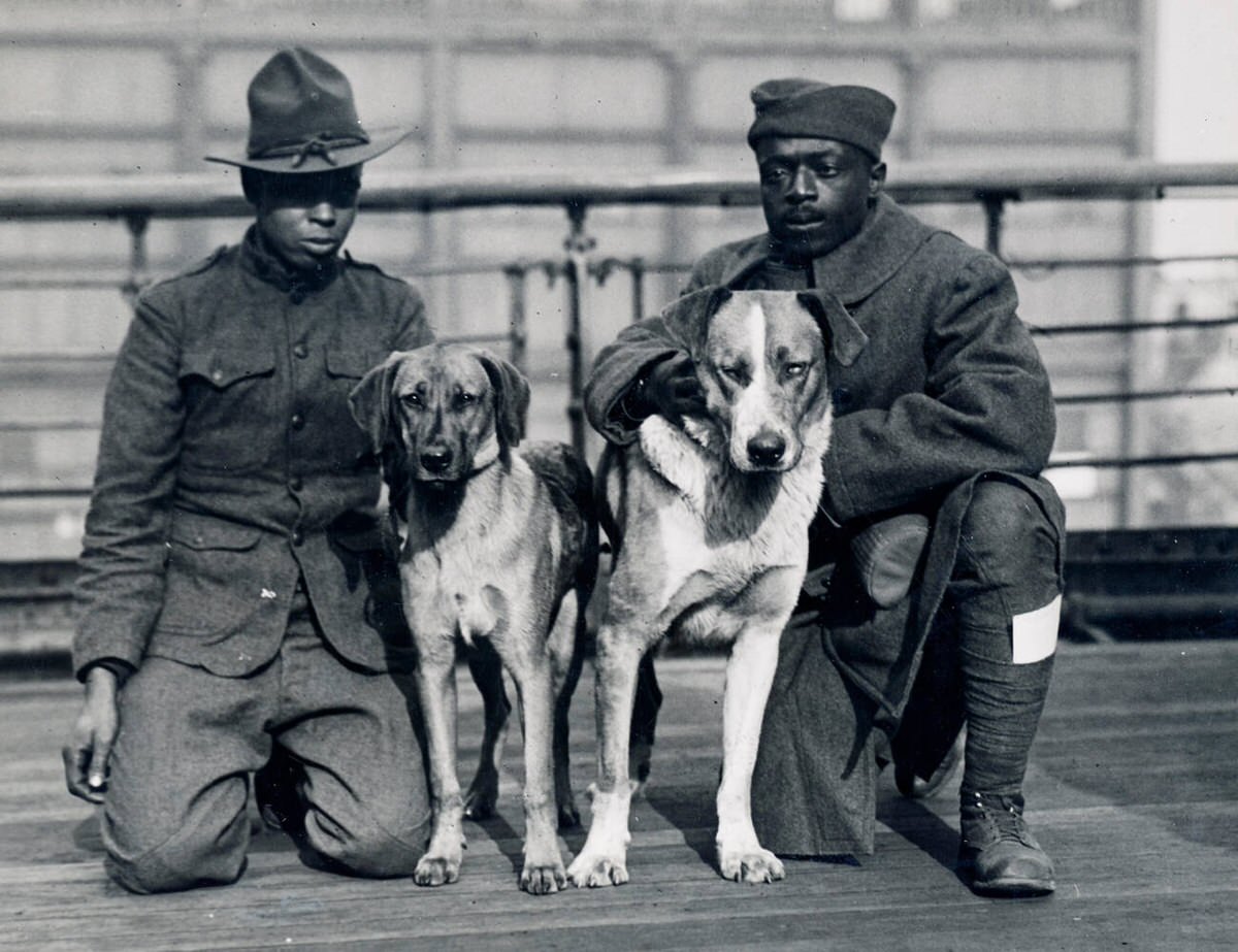 Privates Robinson Cleve and Daniel Nelson with captured German dogs on the transport George Washington, 1918