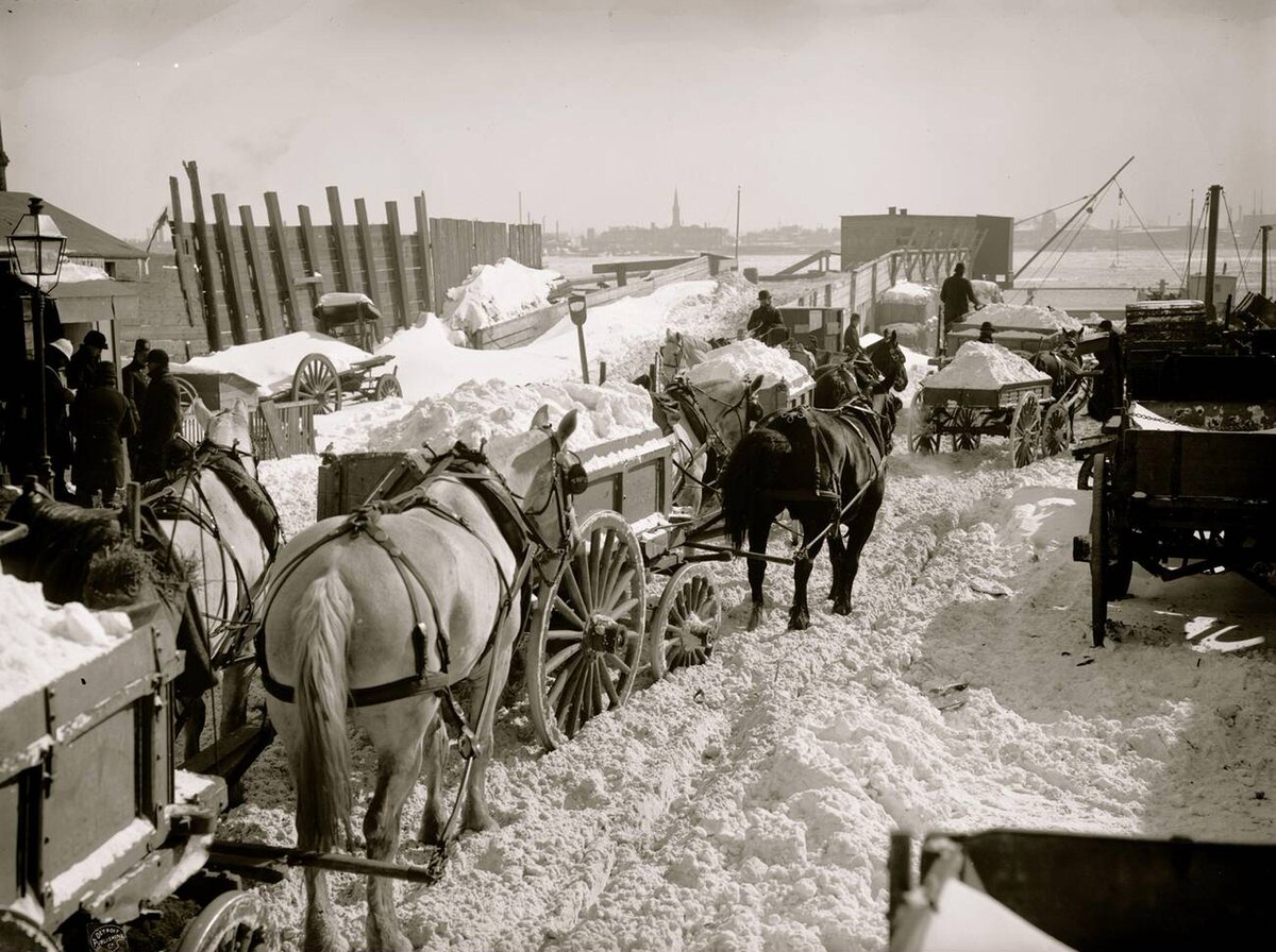 Carts hauling snow and ice for dumping in the East River in New York, 1888