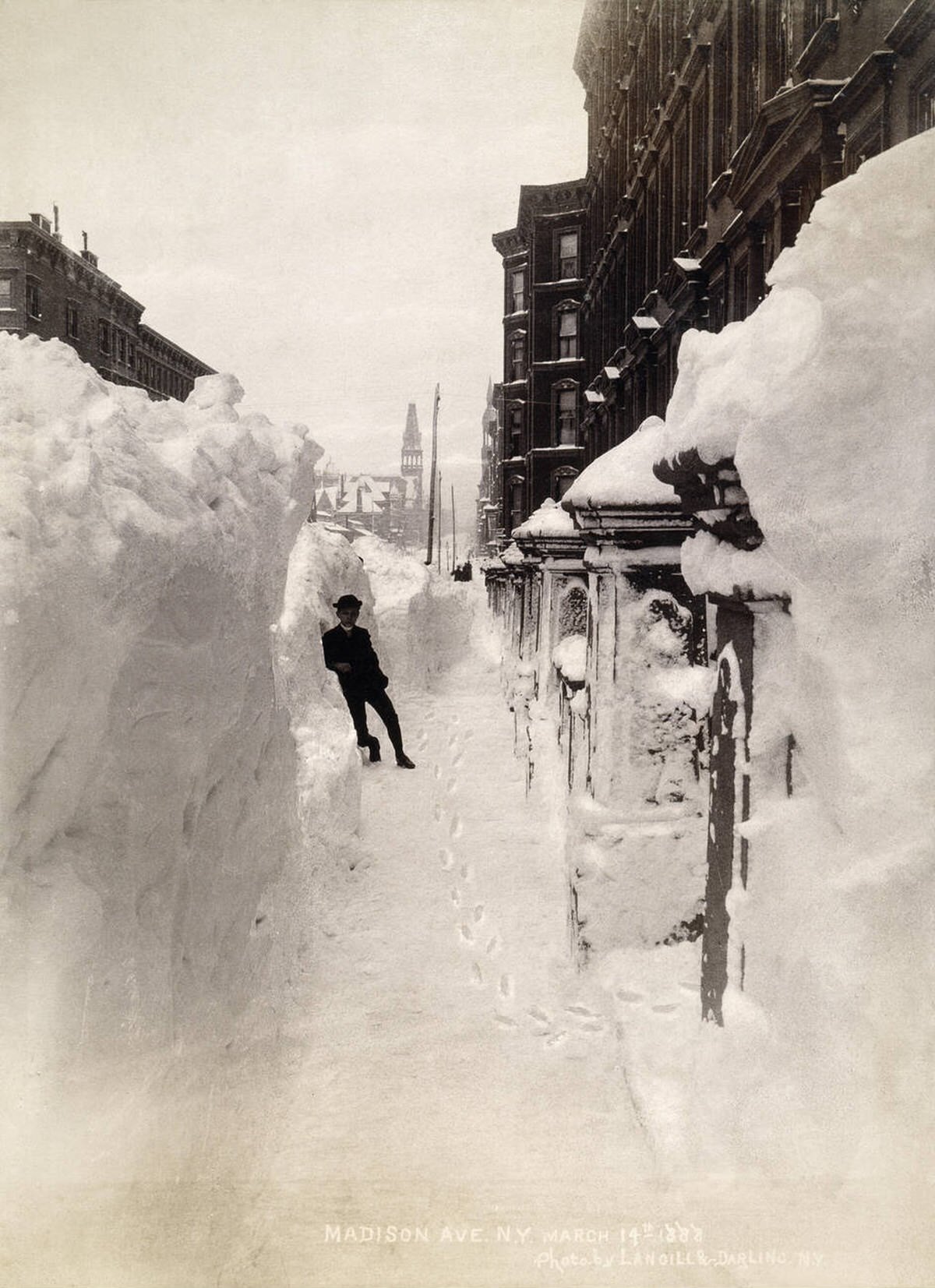 Madison Avenue in New York City after the great blizzard, 1888