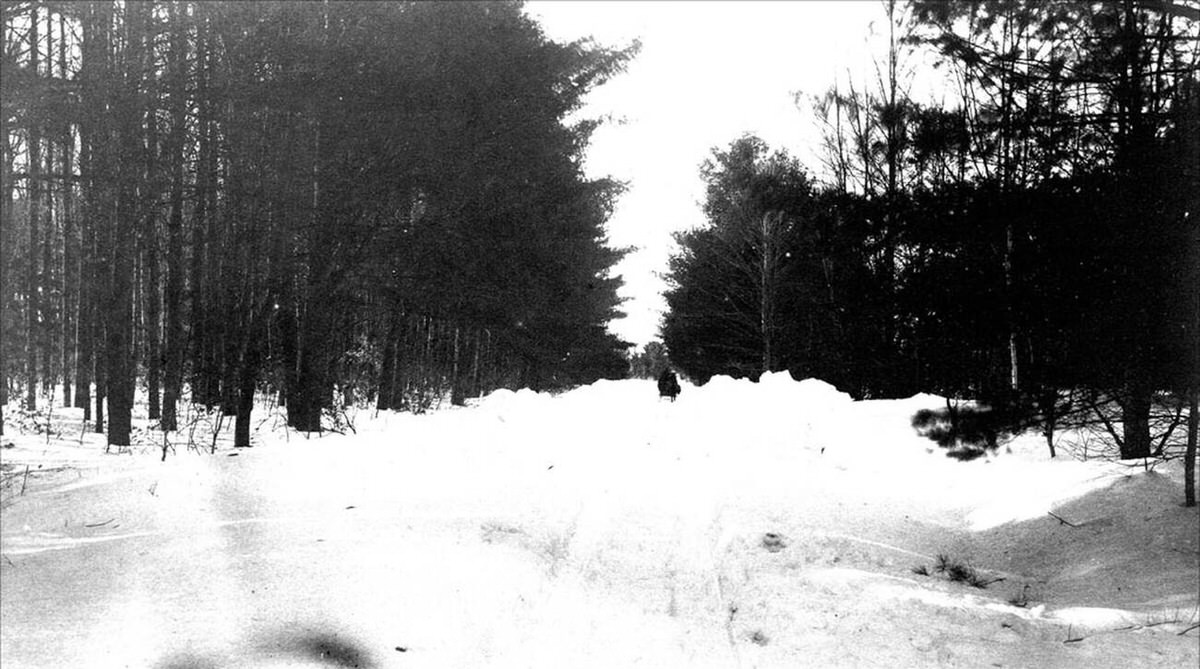 Snow-covered landscape near the Wyman Farm on Westmoreland Road during the Blizzard of 1888 in Keene, New Hampshire, 1888