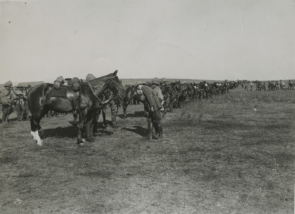 Exhibition of horse training, 1914.