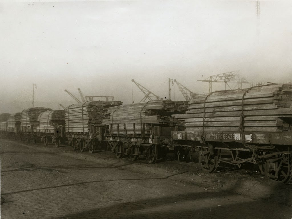 Wood on its way upcountry, 1914.