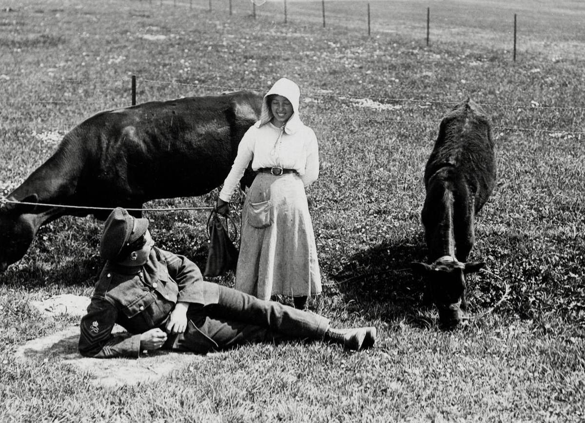 French girl grazing her cattle and talking to a British soldier in France, 1914