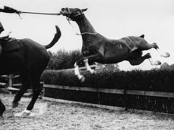 Two horses jumping fences during a show, one rider less. The picture is taken from below the height of the jump and the rest of the fences are visible in the background all at odd angles to each other. The first horse has just landed and there are dust clouds round his feet. His rump and the hand of his rider are disappearing of the left hand side off the picture. The hand is holding the leading rein of a rider less horse following them. This horse is just sailing over the fence although he is straining against the rein.