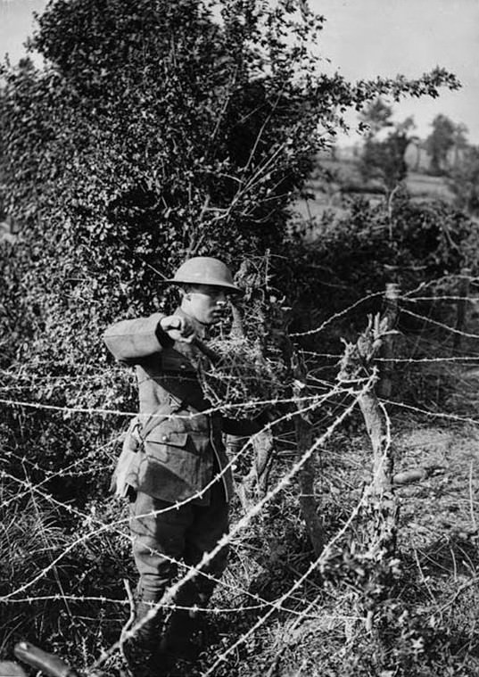 A soldier wearing his uniform, a tin helmet and a few bits of equipment is standing in the middle of a criss-cross of barbed wire. He is holding a huge spiral of it up in front of him and is winding it off the stick it is wrapped around. He is standing in a ditch with a field on the other side of the fencing and a lush, huge bush behind him. He is quite intent on his work.