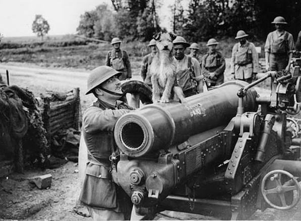 Triumphant dog sitting atop a gun surrounded by gunners, France, during World War I. Proudly perched on top of what looks like a howitzer, this pet dog was the regimental mascot of the artillery gunners also gathered round the gun. Despite the many dangers posed by life in and near the front line, many regiments kept pet dogs and cats. Keeping a regimental mascot also helped to maintain the troops morale.