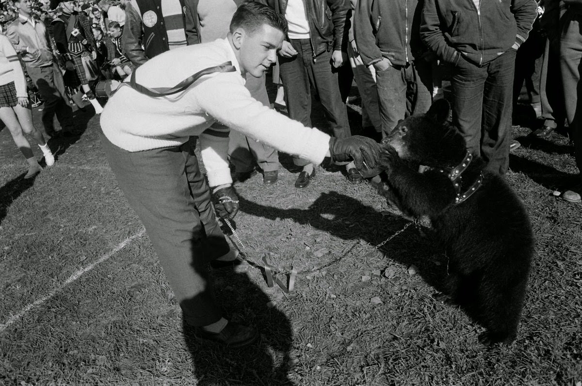 Scene at Canadian college football game, 1954.