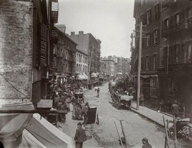 The Mulberry Bend, 1890