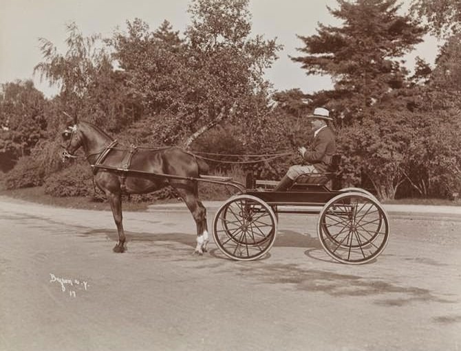 R.H. Halstead and friends riding in Central Park, 1900