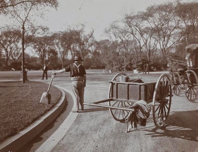 Central Park, 1906