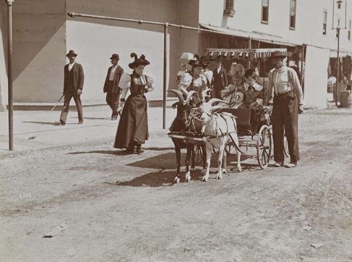 Children driving a goat-pulled carriage at Coney Island, 1896