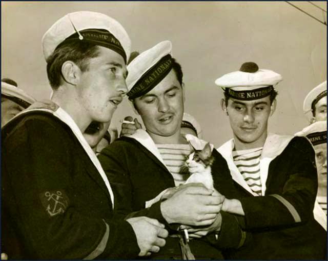 French sailors play with a cat as they wait to take over six LSSLs (Landing Ship Support, Light) being given to France by the US Navy under the defense aid pact. Seattle, 1950.