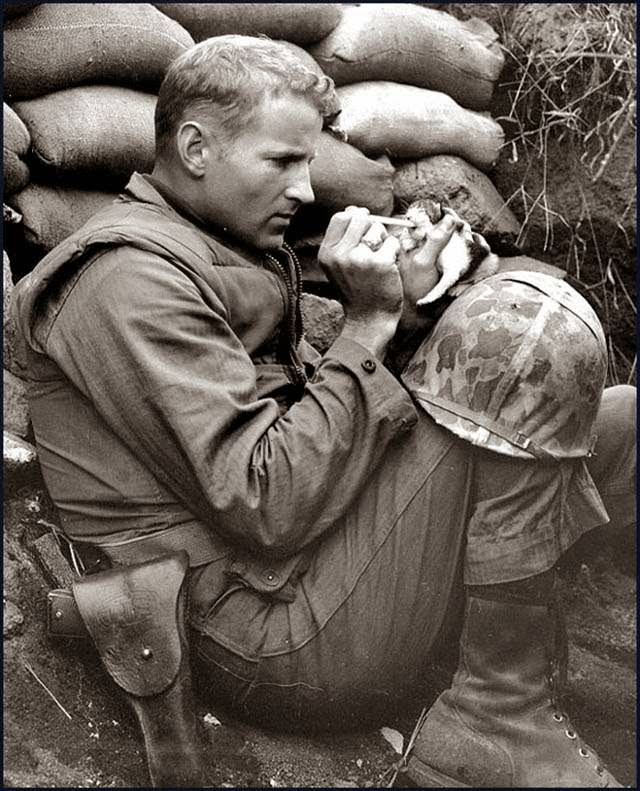 Accepting her fate as an orphan of war, 'Miss Hap' a two-week old Korean kitten chows down on canned milk, piped to her by medicine dropper with the help of Marine Sergeant Frank Praytor ... The Marine adopted the kitten after its mother was killed by a mortar barrage near Bunker Hill. The name, Miss Hap, Sergeant Praytor explained, was given to the kitten 'because she was born at the wrong place at the wrong time'. Korea, ca 1953