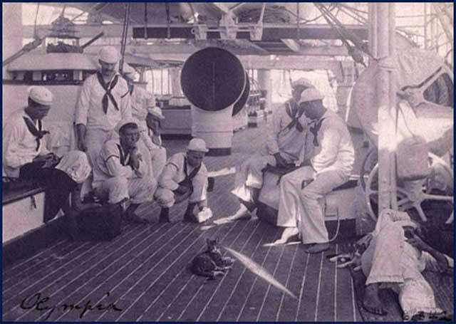 Crewmen on the deck of the USS Olympia using a mirror to play with their cats in 1898. The Olympia served as Admiral George Dewey's flagship at the Battle of Manila during the Spanish American War.