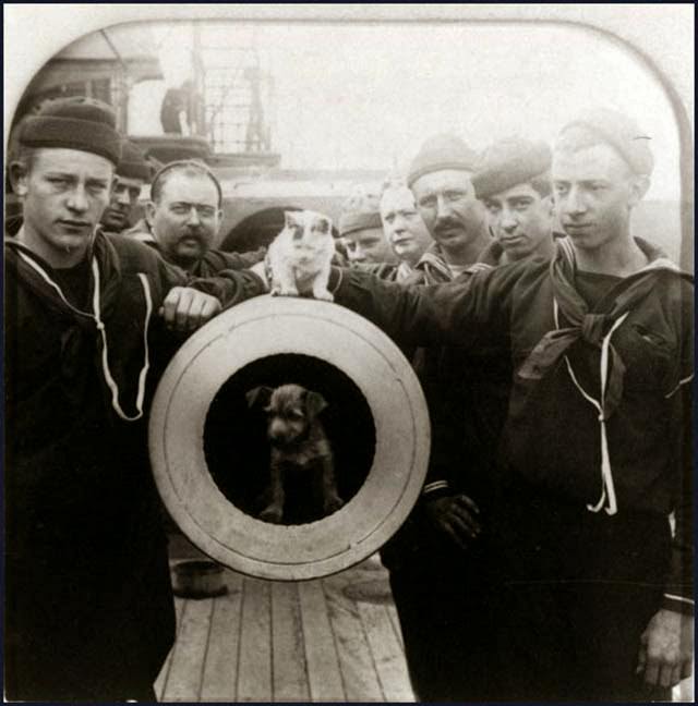 Crewman of the USS Texas pose with mascot dog and cat on the muzzle of one of the ship's 12"/35 guns, ca 1900. Built in 1892, The Texas was the first U.S. battleship and gained a reputation for being jinxed because of a series of accidents. The crew probably hoped the cat and dog would change the ship's luck.