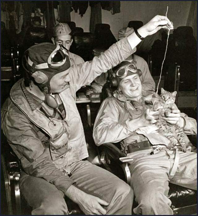 Waiting instructions in the briefing room, pilots on a US Navy aircraft carrier relax by playing with the ship's mascot. Shortly after this picture was taken they were flying far above the Atlantic on a battle-mission. Probably the USS Ranger, July 1944.