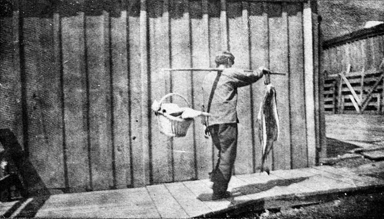 Chinese immigrant, 1903-1905.