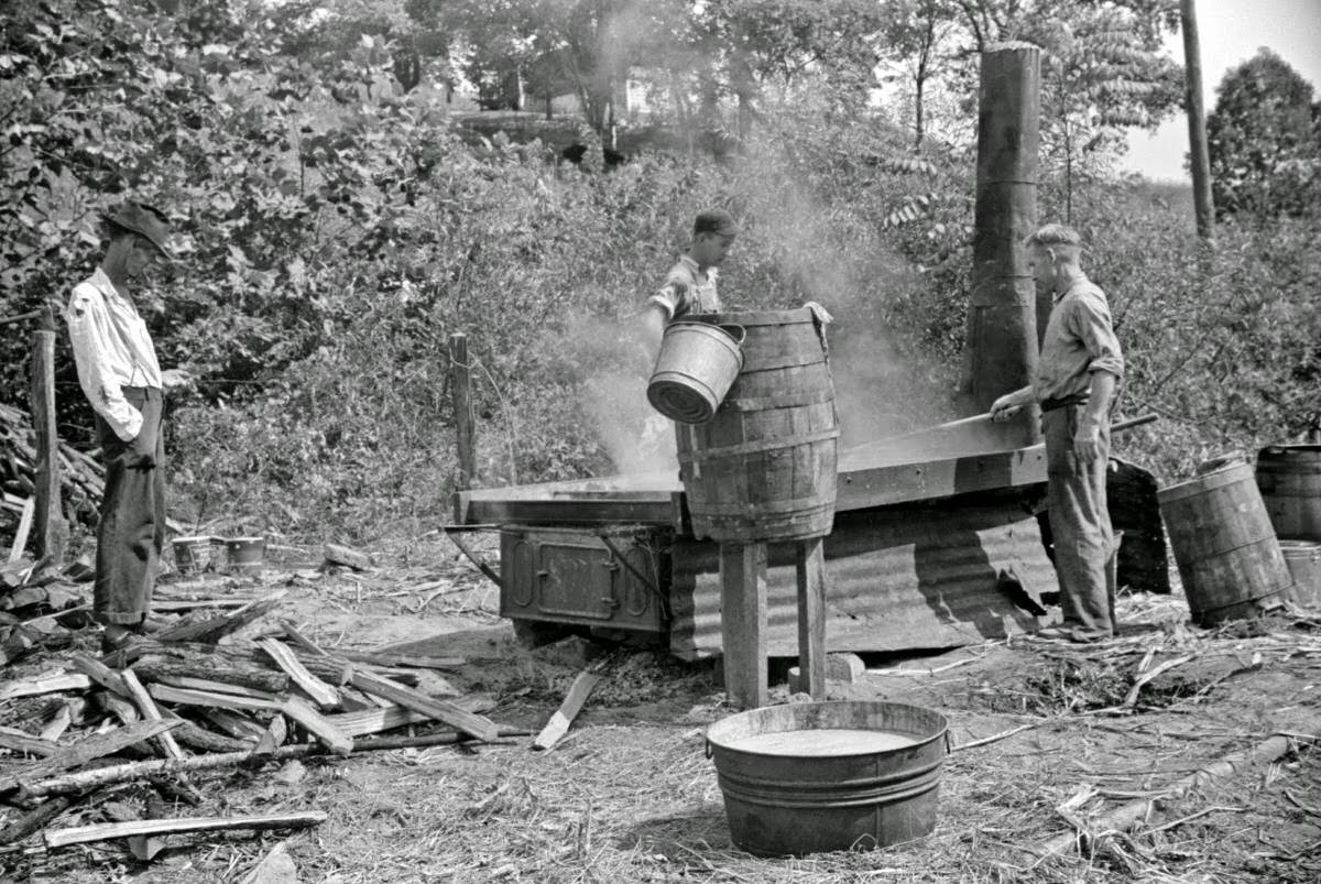 Boiling juice of sugarcane into sorghum molasses