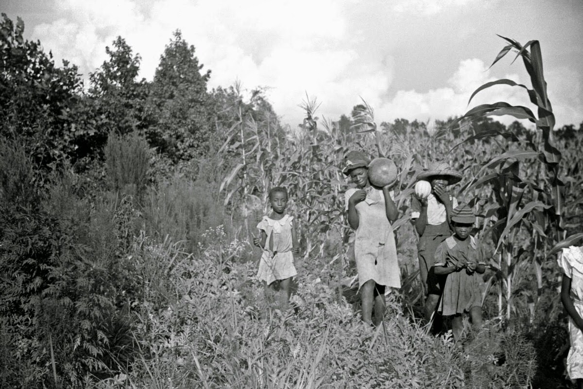 Children of Pauline Clyburn, rehabilitation borrower