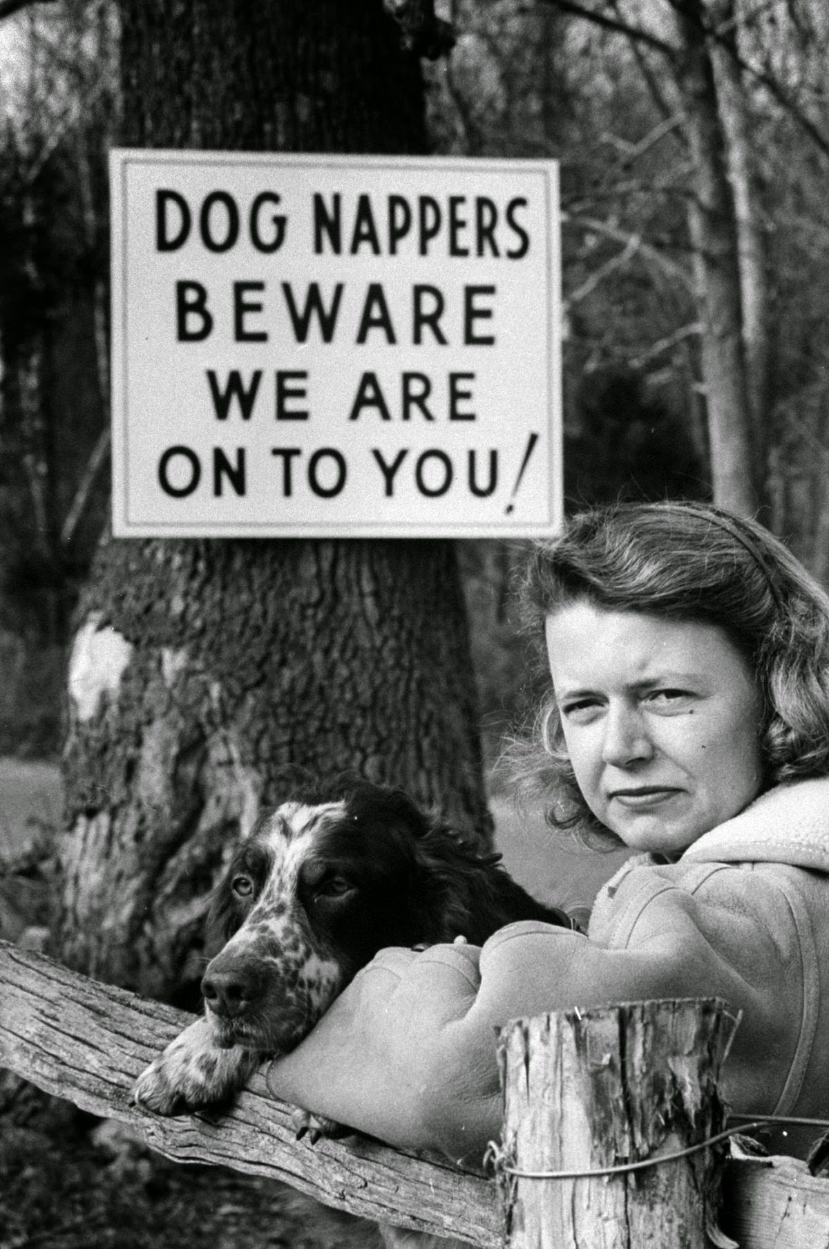 Angered by the disappearances of their family pets in Clarke County, Va., Mrs. William Mitchell and her neighbors put up signs to discourage thieves.