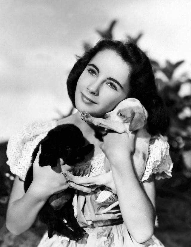 Elizabeth Taylor in "National Velvet," 1944.