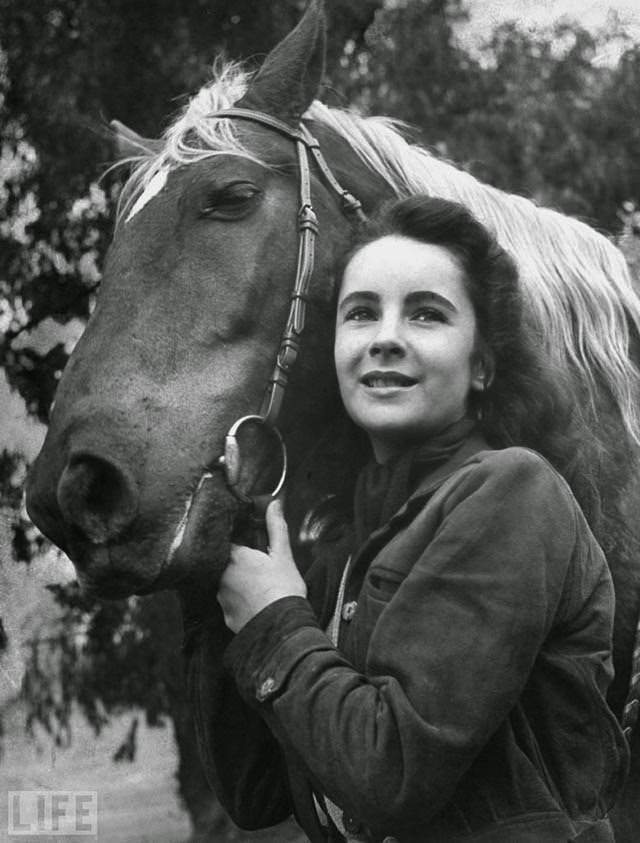 Elizabeth Taylor, age 13, poses with her own horse after shooting "National Velvet"