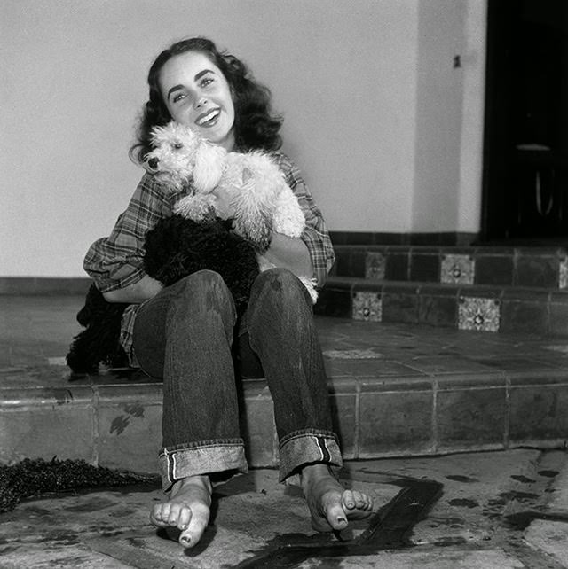 Elizabeth Taylor, wearing a plaid shirt and jeans rolled up at the cuff with bare feet, holding a poodle and smiling, 1947.
