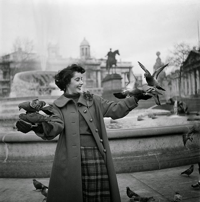 Elizabeth Taylor surrounded by pigeons in Trafalgar Square, London, November 1948.