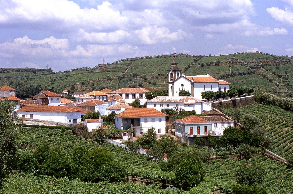 Wine Country, Portugal