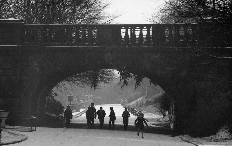 Ivy Bridge at Avenham Park in Preston, 1966